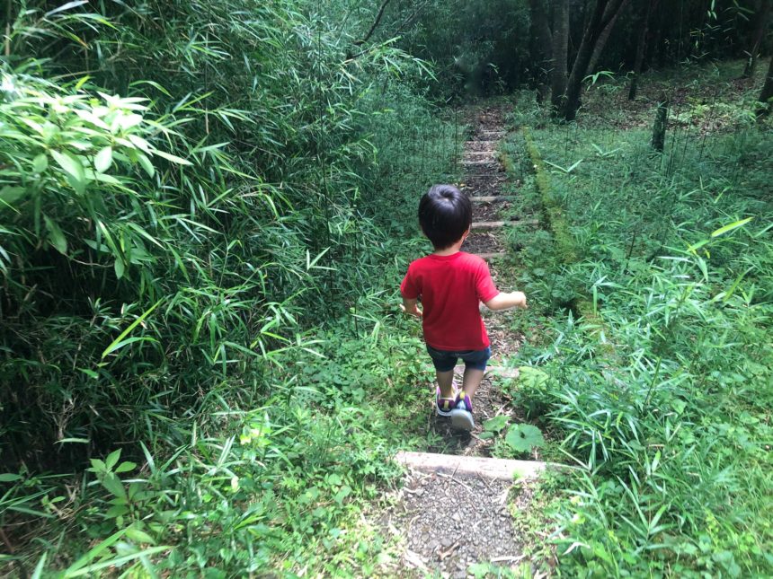 箱根 自然と触れ合う穴場スポット 箱根森のふれあい館 が子連れにおすすめな４つの理由 Lovetabi Mama
