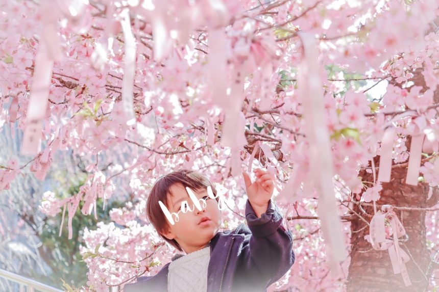 東京 インスターグラマーにも大人気 河津桜の撮影スポット 桜神宮 で子供の可愛い写真を撮ろう